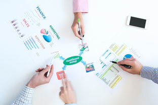 網(wǎng)絡(luò)購(gòu)物、信息圖表與高清圖片 現(xiàn)代信息咨詢服務(wù)的新維度