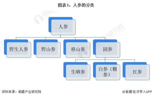 預(yù)見(jiàn)2024 中國(guó)人工智能基礎(chǔ)軟件開(kāi)發(fā)賦能下的人參行業(yè)全景圖譜